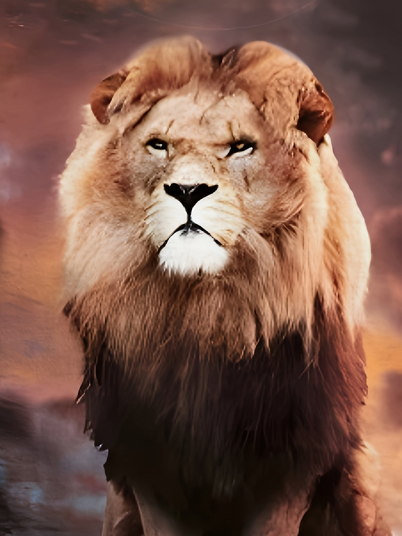 Boys Lion 3D Print T-shirt Short Sleeve Crew Neck Top Casual Kids Clothes