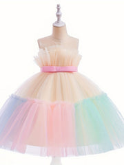 Girls' Mesh Ball Gown Princess Dress