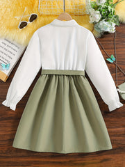 Girls Flowers Embroidered Collared Dress