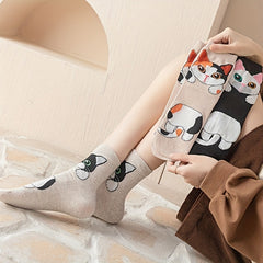 5 Pairs Cartoon Cat Socks Women's Stockings Hosiery