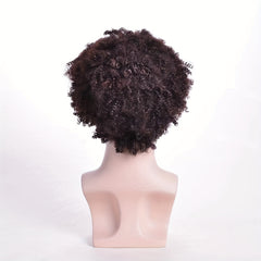 10" Natural Brown Afro Curly Short Hair Synthetic Fiber Wig for Men