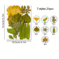 Dried Flower Embossed DIY Face Stickers True Leaves Plant Specimens