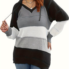 Colorblock Embroidered Hoodie Sweater Women's Plus