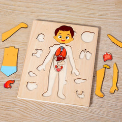Kids' Wooden Human Body Jigsaw Puzzle Toy