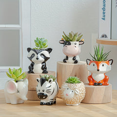 Ceramic Cartoon Flower Pot Succulent Home Gardening Pots
