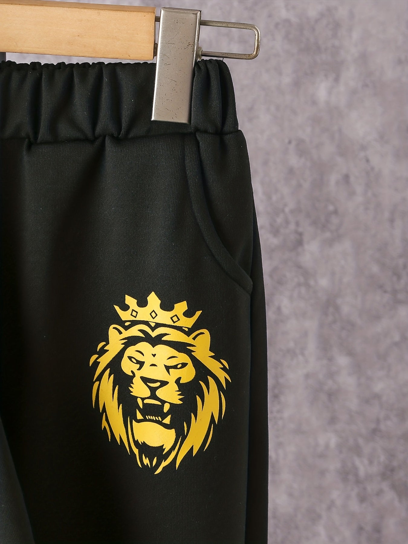 Boy's Lion Crown Pattern 2pcs Sweatshirt & Sweatpants Set