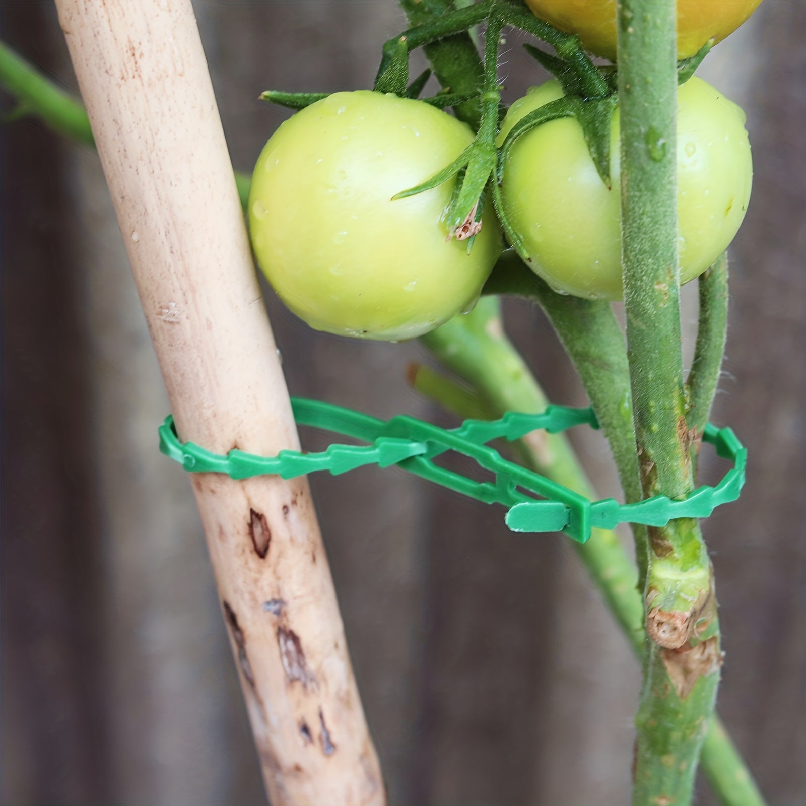 Adjustable Garden Plant Twist Ties Green Tie - Securely Tie Plants & Vines