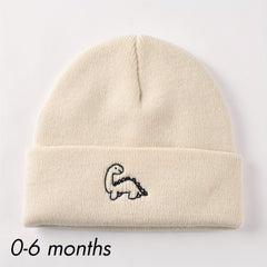 Colorful Selection Beanie Knit Winter Hat for Boys Girls
