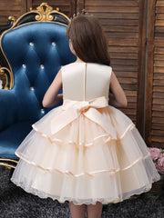 Girls Princess Dress Sleeveless Flower Embroidery Mesh Tutu Dress