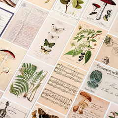 30 Sheets Biology Postcard Non Sticky Postcard Home Decor