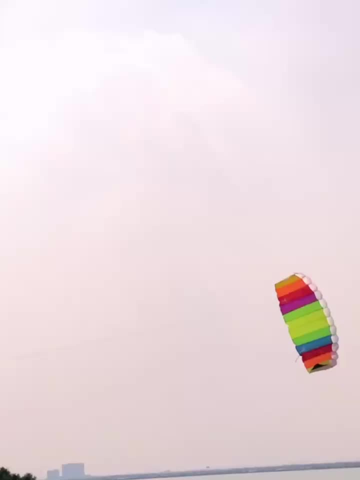 Colorful Dual Lines Kite with D Handles and Flying Lines