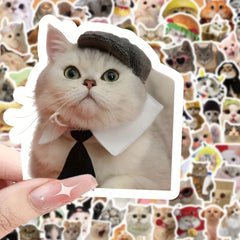100pcs Funny Cat Series Stickers Laptop Helmet Desktop Water Cup Decor
