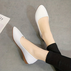 Women's Pointed Toe Ballet Flats Soft Sole Slip On Walking Shoes