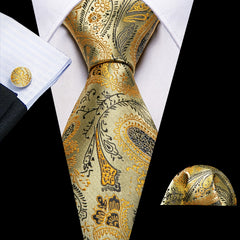 Barry Wang Men's Neckties Paisley Pocket Set