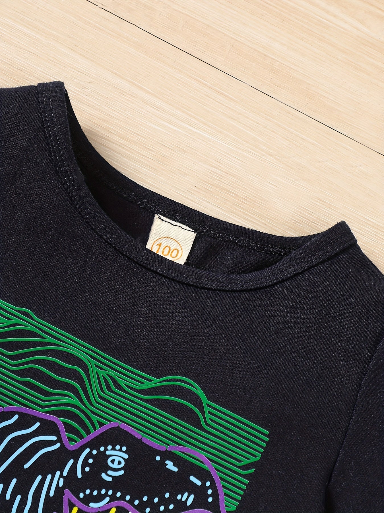 Boys Dinosaur Graphic Casual Outfit Set for Summer