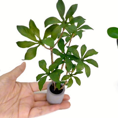 Dollhouse Potted Plant Green Leafed Bonsai Home Decor Toy