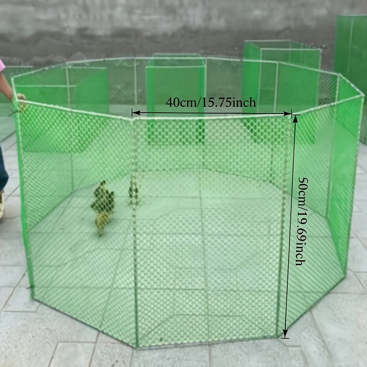 img_5363842
