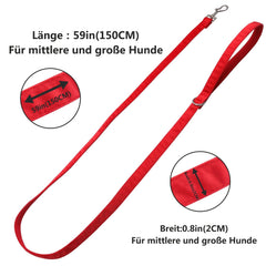 img_4104998