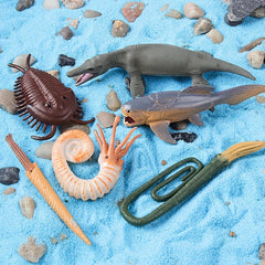 12pcs Prehistoric Animal Models: Sea Turtles, Leeds Fish, Taiman Fish, D