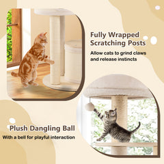 img_7388934