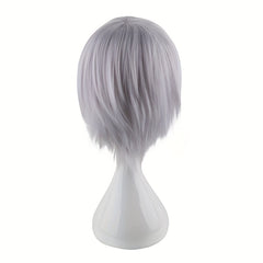 Men's Silver Gray Anime Costume Wig for Parties