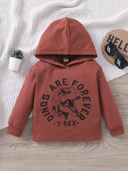 Boys Dinosaur Hoodie Sweatshirt Top Kids Clothes