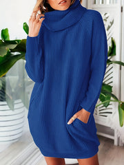 Women's Plus Solid Long Sleeve High Neck Tunic Knit Top