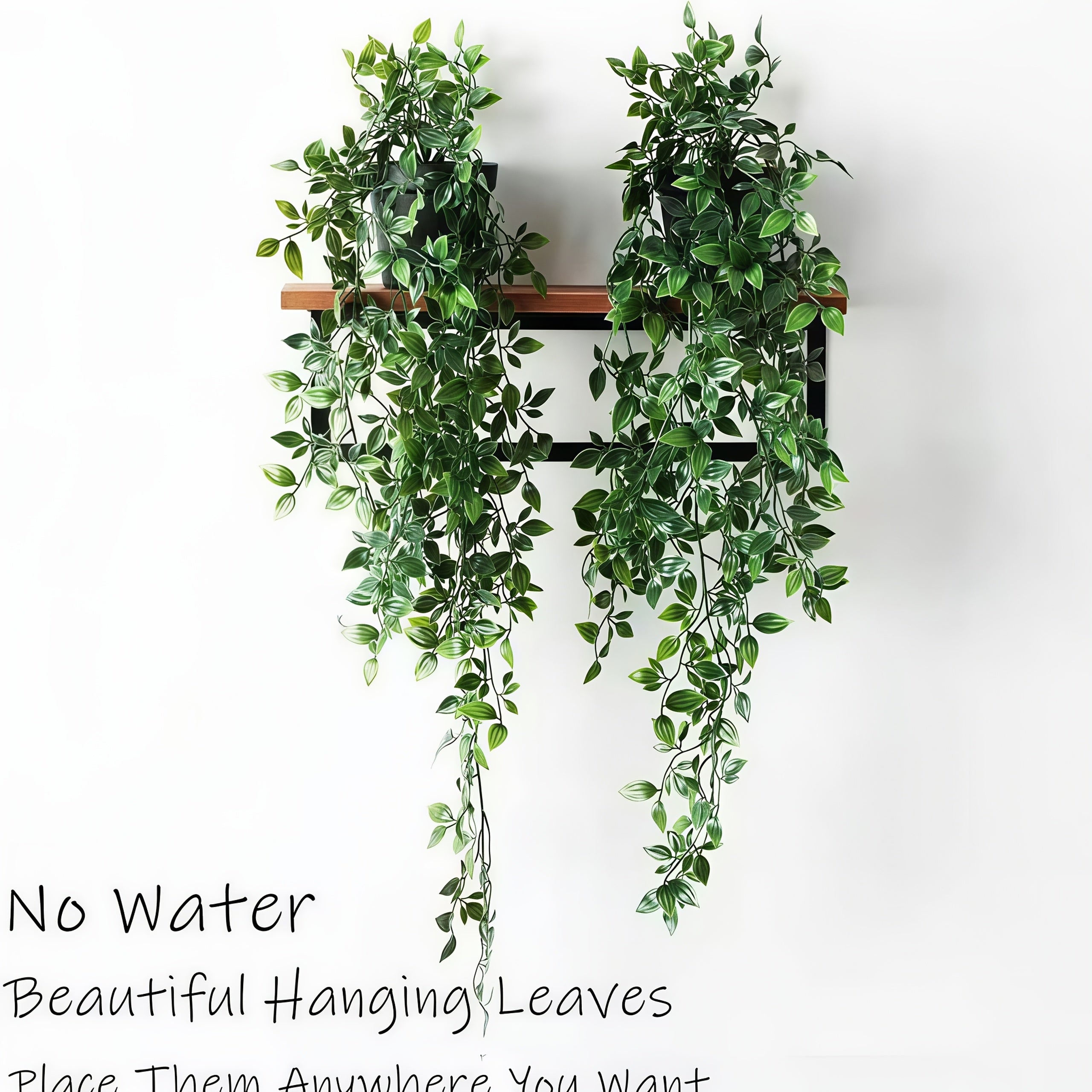 img_6212448