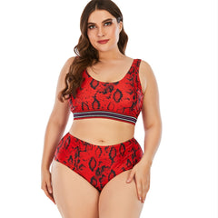 Leopard Print High Waist Bikini Set Women's Plus Size Swimsuit Set