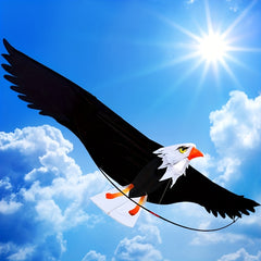 3D Eagle Kite for Outdoor Entertainment