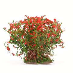1 57inch Mini Craft Artificial Bush Flower Fairy Garden Home Houses Decoration