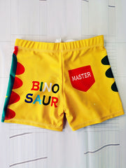 Boys Dinosaur DUDE Print Swim Trunks Stretchy Beach Shorts