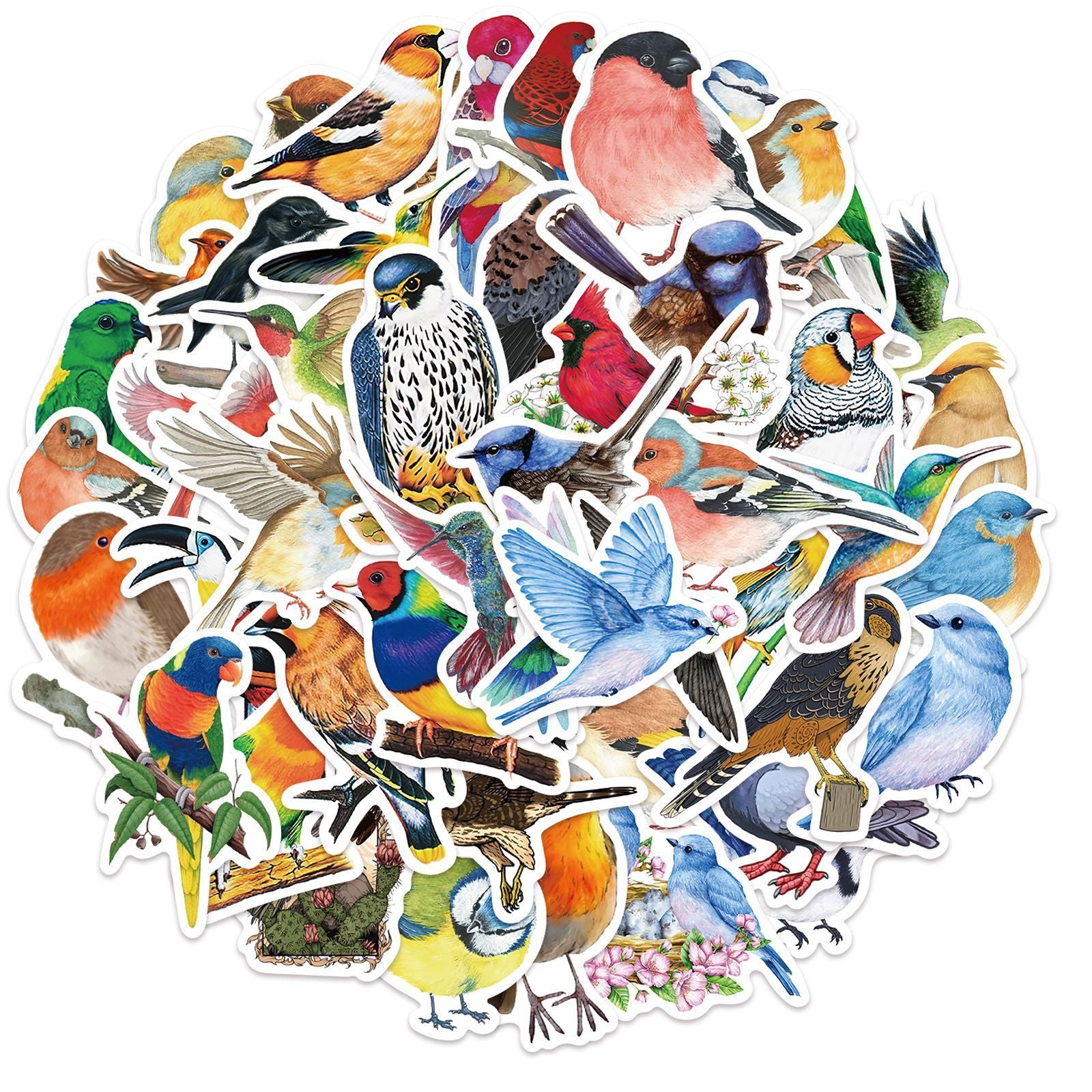 50 Watercolor Bird Stickers Parrot Finch Designs for Laptops Phones Cars