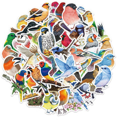 50 Watercolor Bird Stickers Parrot Finch Designs for Laptops Phones Cars