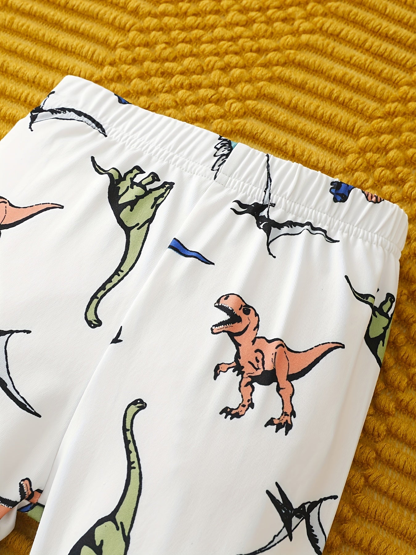 Boys Dinos Pajamas Set Long Sleeves Tops & Bottoms Comfort Cozy
