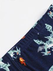 Boys Dino Briefs Shark Undies Trucks Pack of 6