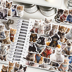 50pcs Funny Cat Graffiti Stickers Waterproof DIY Journal Stickers Pack