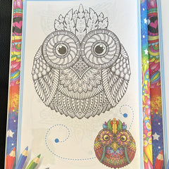 Colorful DIY Drawing Book for Student and Adult
