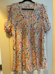 Floral Print V Neck Dress Lantern Sleeve Mini Dress