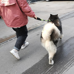 img_5535720