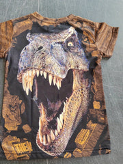 Kids Dinosaur Graphic T-shirt Short Sleeves Crew Neck
