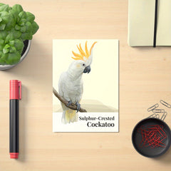 Birds Poster Hand Drawing Style For Kids Room Decor