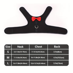 Breathable Mesh Rabbit Chest Harness Set for Small Animals