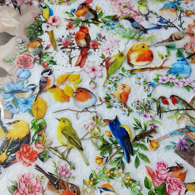 50 Watercolor Bird Doodle Stickers for Water Bottles Cars Computers Bicycles