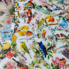 50 Watercolor Bird Doodle Stickers for Water Bottles Cars Computers Bicycles