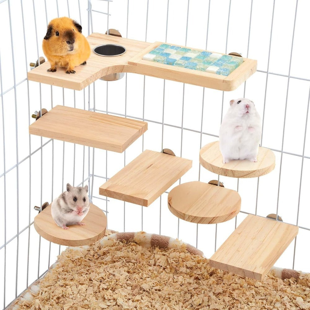 img_5360687