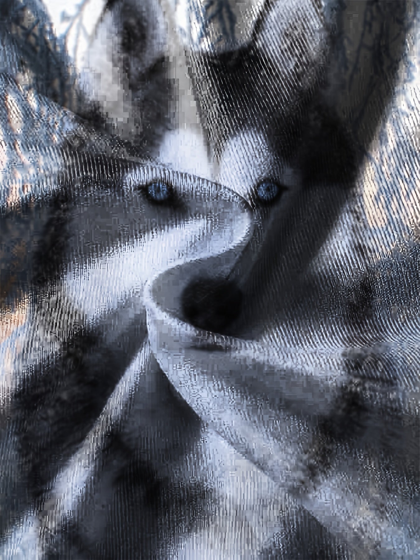 Teen's 3D Wolf Print Sweatshirt Casual Pullover Street Wear