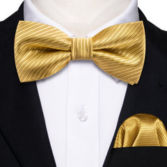 Boys Vintage Bow Tie & Handkerchief Set for Party Performance