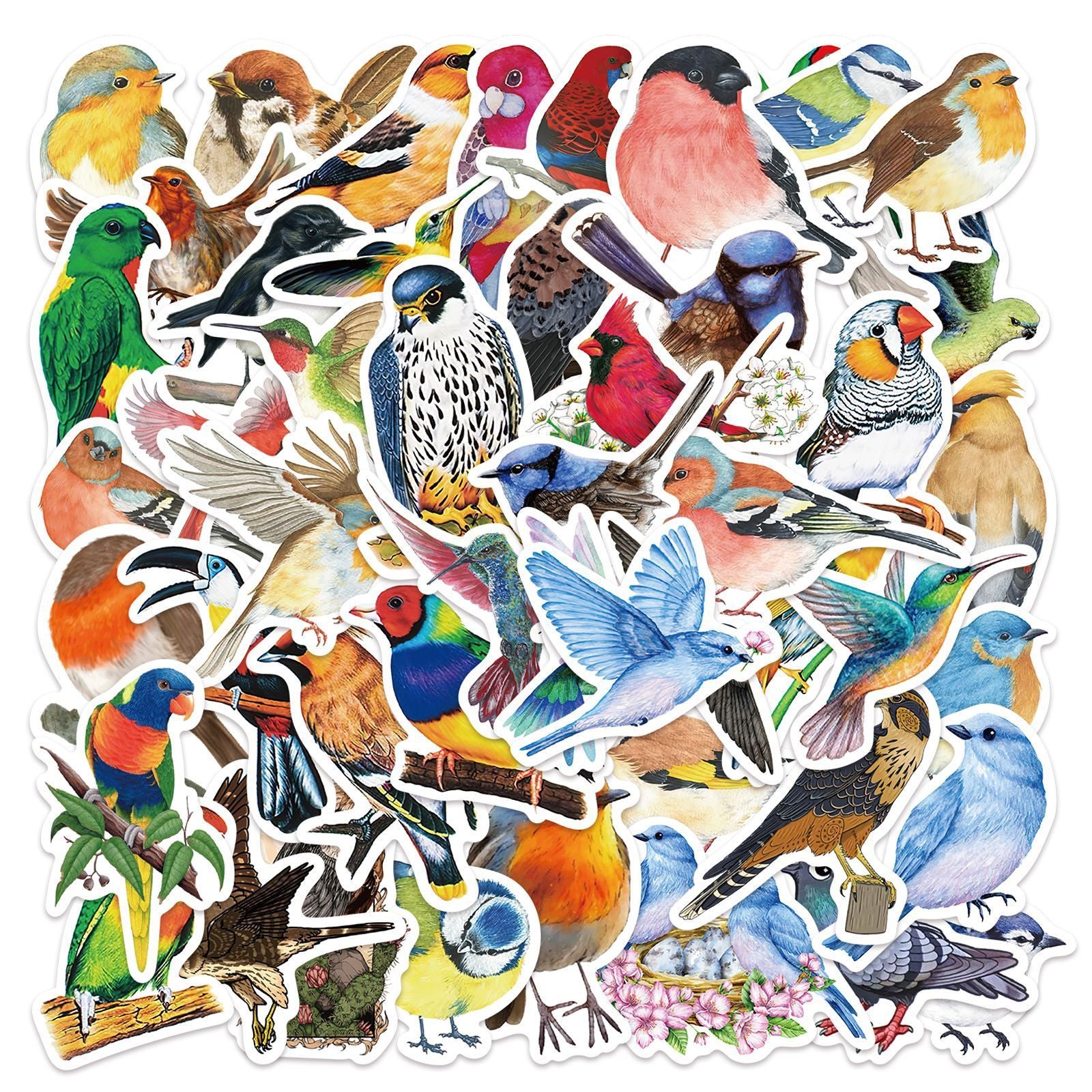 50 Watercolor Bird Stickers Parrot Finch Designs for Laptops Phones Cars