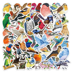 50 Watercolor Bird Stickers Parrot Finch Designs for Laptops Phones Cars